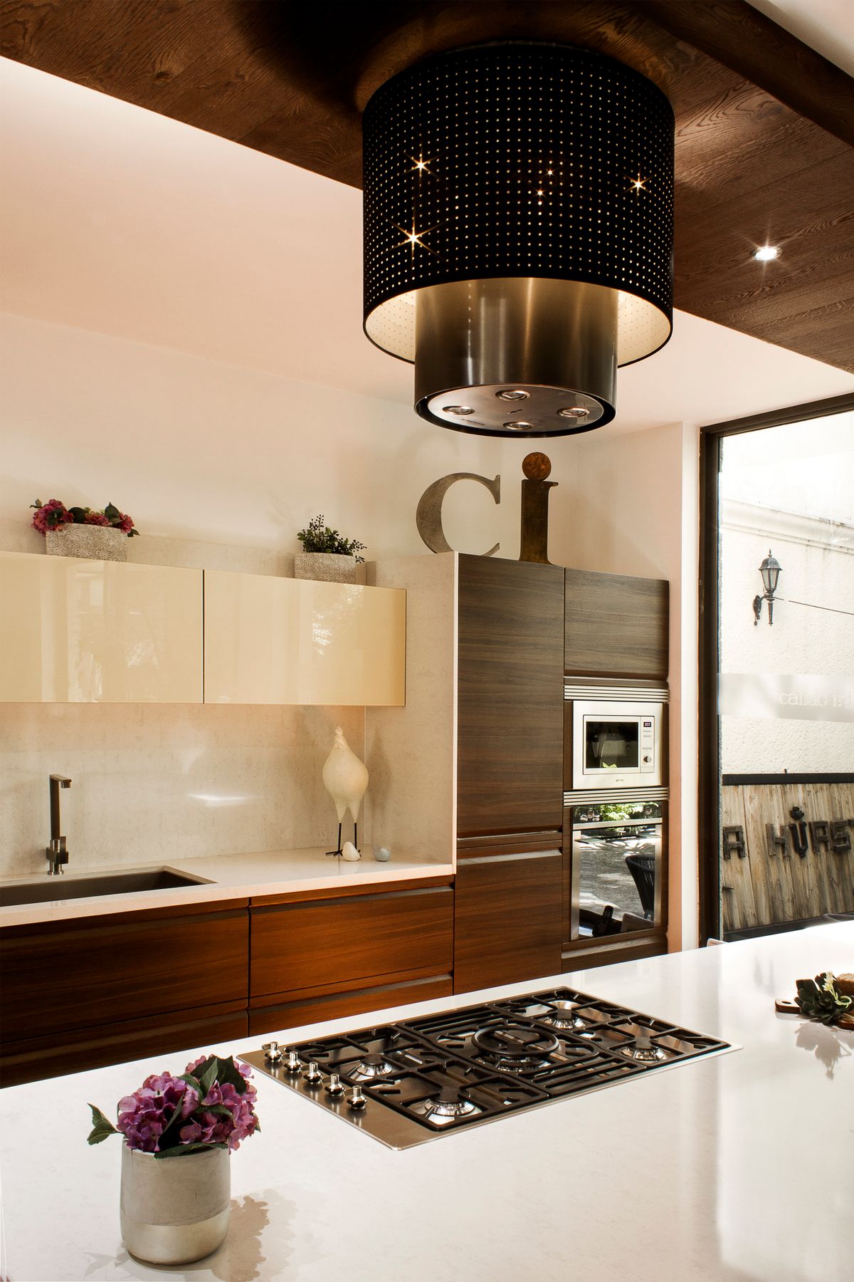 Contemporary kitchen interior
